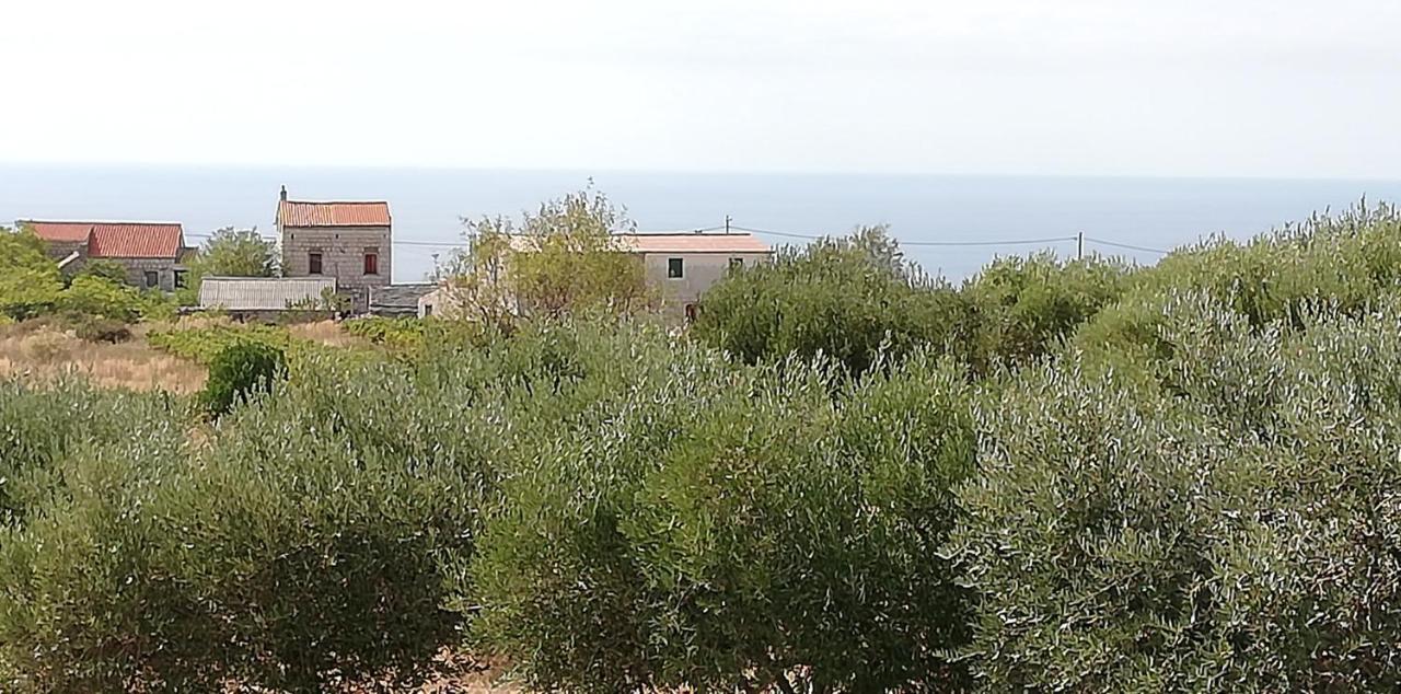 Holiday Home Burba コミジャ エクステリア 写真